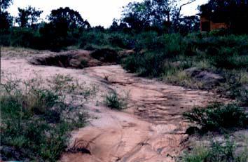 Tipos de solos Podzólico São característicos dos terrenos hidromórficos mais antigos, profundos, altamente intemperizados e muito lixiviados.