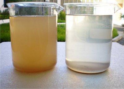 Método com a semente da Moringa Oleifera: esse procedimento, além de sedimentar o barro, ele também retirar as bactérias contidas na água.