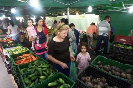 PROGRAMA NOSSA FEIRA 30 variedades de frutas