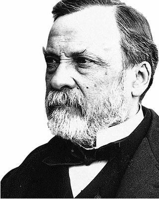 Pasteur foi quem derrubou definitivamente a idéia da abiogênese, com a utilização de uma vidraria chamada pescoço de cisne.