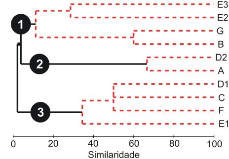 166 Ferreira et al. Fig. 3. Análise de agrupamento demonstrando a similaridade entre as quatro poças amostradas em relação à composição das espécies.