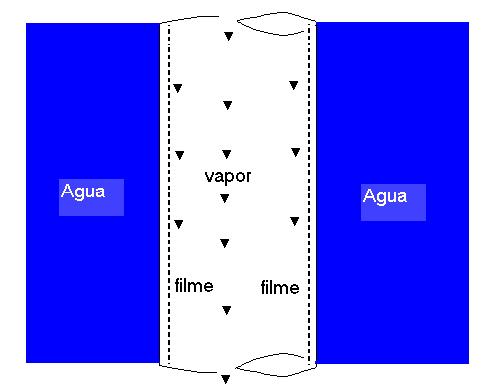 em regime laminar pela parede do tubo vertical enquanto a fase gasosa entra neste tubo, concorrente com a fase líquida, em regime turbulento e flui sobre a superfície do líquido provocando uma