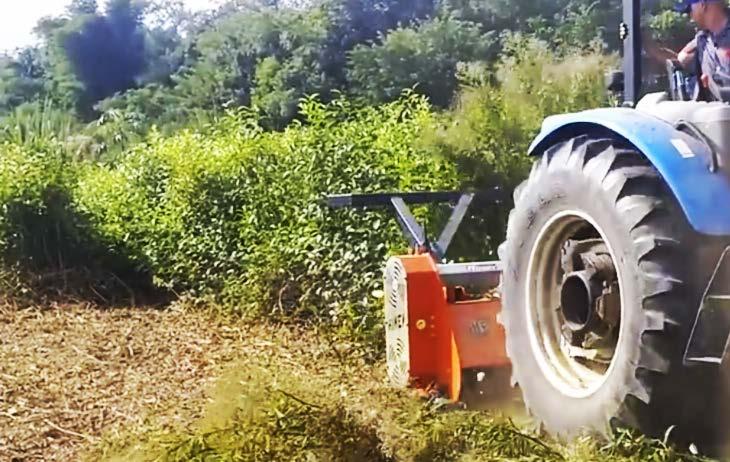 SUSTENTABILIDADE Diferentemente das queimadas, a trituração florestal produz uma proteção ao solo, através de cobertura morta.