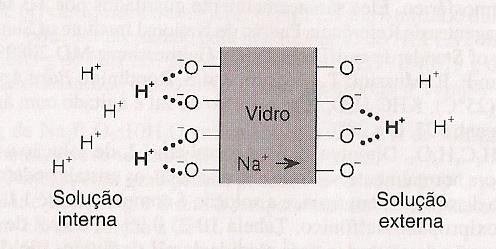 Eletrodo de vidro para medida de ph H + + Na + Vd - Na + + H + Vd -