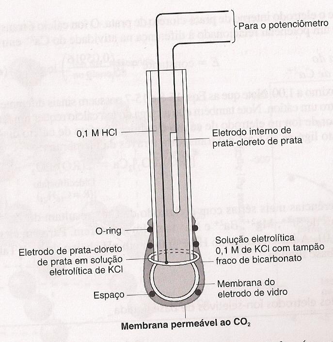 Eletrodo Seletivo para CO 2 CO 2(aq) CO 2(g) CO 2(aq) Solução externa Poros da Membrana Solução