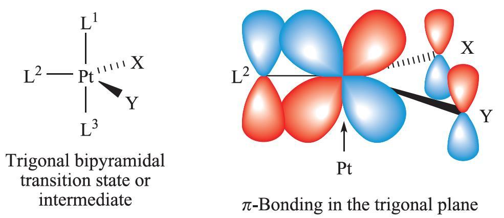 Durante a existência do intermediário (ou estado de transição) pentacoordenado, o fenômeno de retrodoação envolvendo a Pt II e um ligante π-ácido (L 2 ) pode ocorrer.
