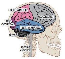 Definição Discalculia (do grego dýs+calculare, dificuldade ao calcular) é definido como uma desordem neurológica específica que afeta a habilidade de uma pessoa de compreender e manipular números.