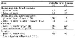 Rotas fermentativas em silagens e suas perdas de MS Bactérias Produtoras de Ácido Lático (BAL) Diferentes grupos de BAL conforme sua fisiologia, na fermentação das hexoses, sendo classificadas em: 1)