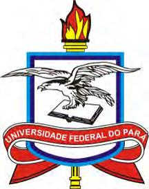 UNIVERSIDADE FEDERAL DO PARÁ INSTITUTO DE GEOCIÊNCIAS PROGRAMA DE PÓS-GRADUAÇÃO EM GEOLOGIA E GEOQUÍMICA DISSERTAÇÃO DE MESTRADO RECONHECIMENTO E MAPEAMENTO DE GÊNEROS DE MANGUE A PARTIR DE