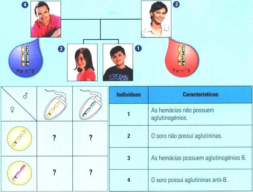 4 Os grupos sanguíneos humanos são determinados geneticamente.