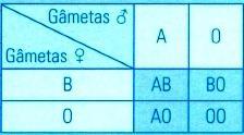 3.2 Os genótipos são os seguintes: Indivíduo I1 - X D X d. É uma mulher heterozigótica.