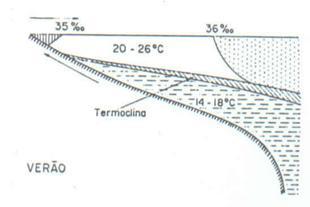 No inverno a Corrente do Brasil se encontra com a Corrente das Malvinas,