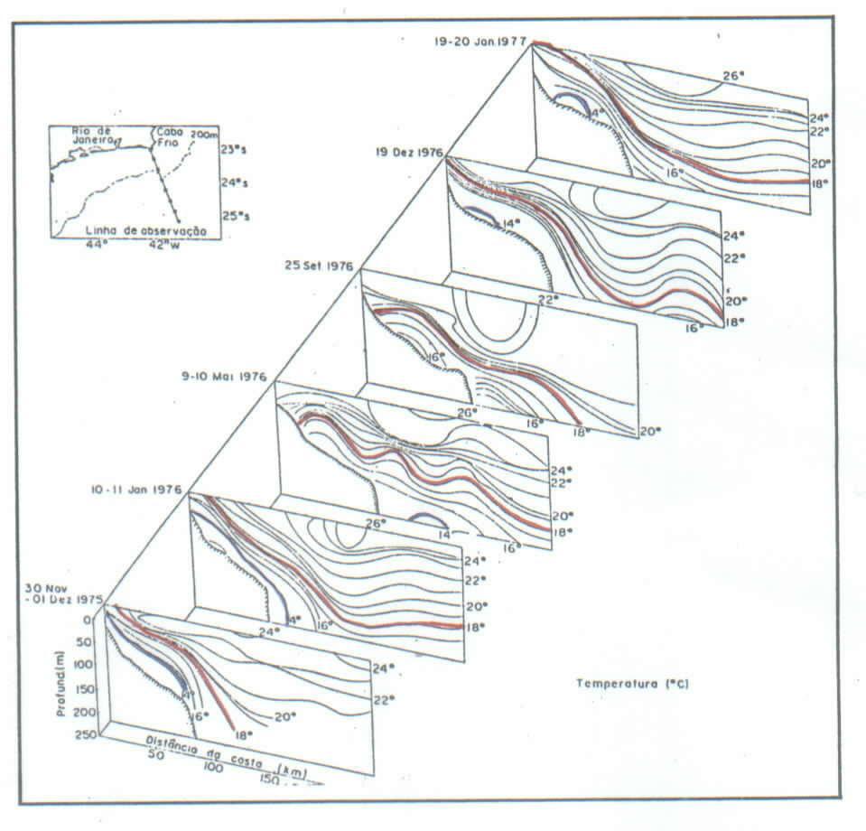 CABO FRIO Forte penetração da massa de água fria, nas épocas de fim de primavera nov-dez/75 e dez/76 e verão jan/76 e jan/77 Épocas quentes: predominância da água fria da