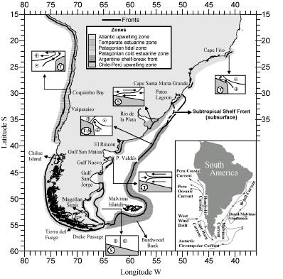 Cabo Frio (23 o S): vento meandramento e vortices da corrente do Brasil verão: divergencia de águas costeiras bombeia água sobre a plataforma vento e meandramento aumentam a ressurgência