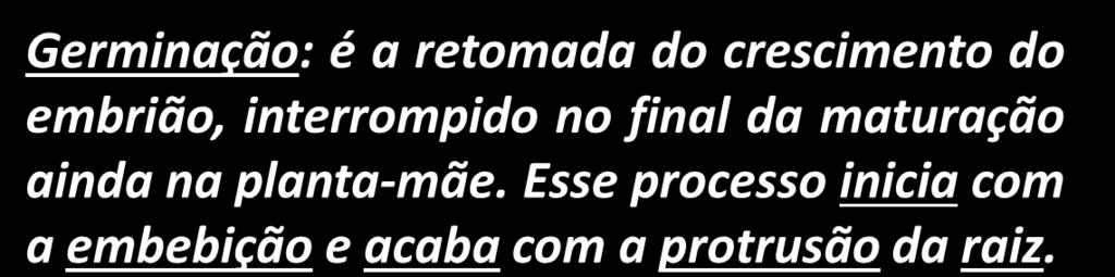 Esse processo inicia com a embebição e