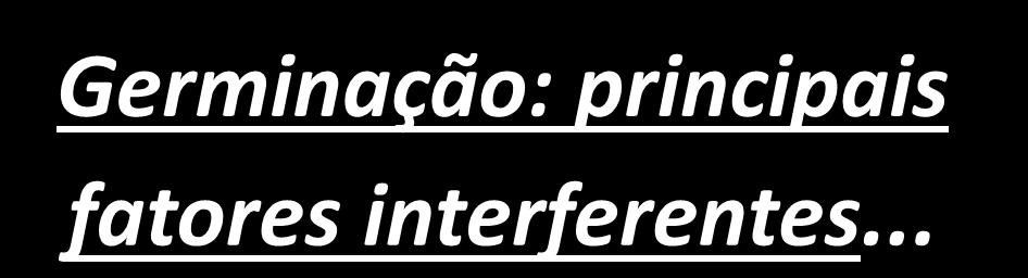 Germinação: principais fatores interferentes.