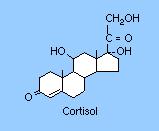 GLICOCORTICÓIDES Cetona na posição