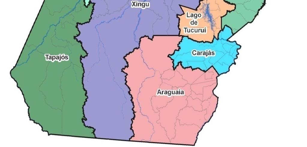 Município Inadequação Habitacional por RI e Tipos de Município Matriz de Grau de Necessidade Habitacional Projeção das Necessidades Futuras para o Estado do Pará Necessidades Habitacionais