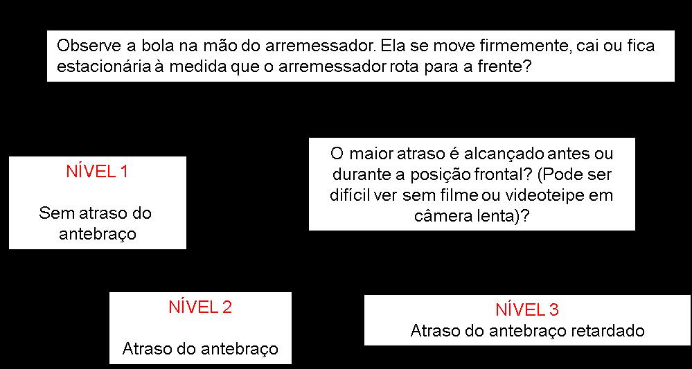 Arremesso Ação do úmero Observe da lateral. O cotovelo e o braço se movem para frente ao nível do ombro (o úmero forma um ângulo reto com o tronco)?