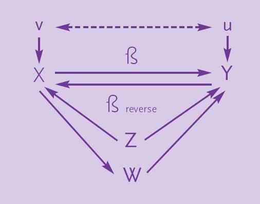 CORRELAÇÃO NÃO IMPLICA CAUSALIDADE 12 No mundo real, por trás de uma correlação entre Y e X, podemos ter a seguinte situação: X, Y, W e Z são variáveis observáveis e u e v representam
