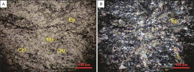 Os cristais de muscovita se apresentam em ripas de birrefringência forte em cristais menores de 0,2 mm.