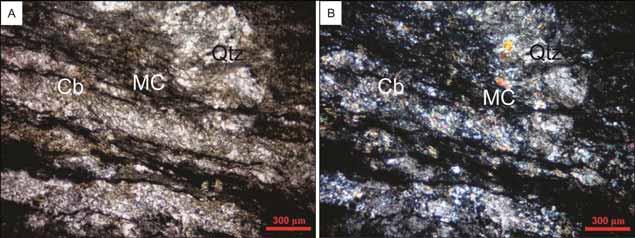 Carbonato aparece tanto associado aos veios (principalmente), quanto à matriz.
