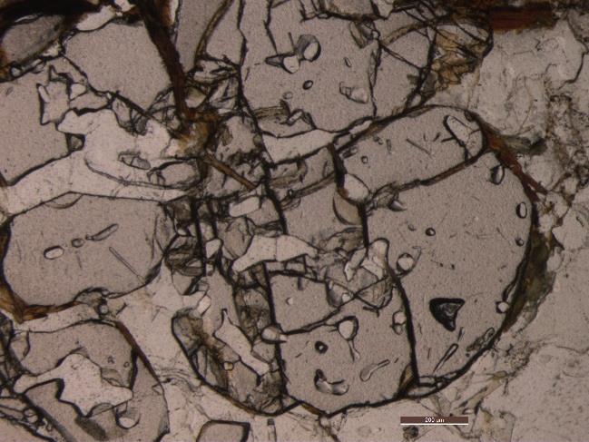56 A granada apresenta-se em cristais de média a grande dimensão, anédricos, muito fraturados, e em associação com biotite e com quartzo (Fig. 19A).