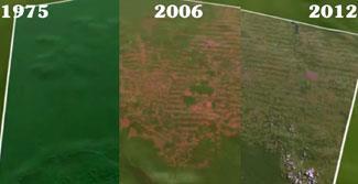 O Geoprocessamento permite analisar esses elementos separadamente ou em conjunto para elaborar