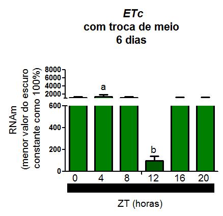 RESULTADOS Figura 12 PCR quantitativo para ET C em melanóforos de Xenopus laevis em escuro constante.