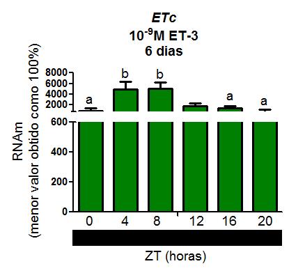 RESULTADOS Figura 14 PCR quantitativo para ET C em melanóforos de Xenopus laevis em escuro constante e tratados com endotelina. As células permaneceram em escuro constante por 5 dias.