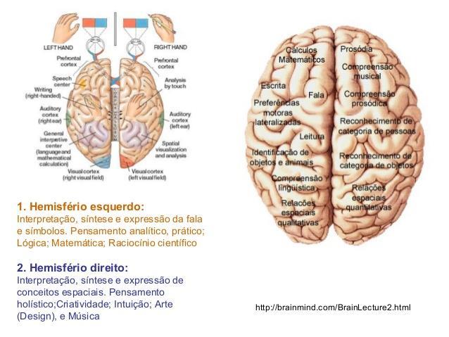 funções executivas descritas e