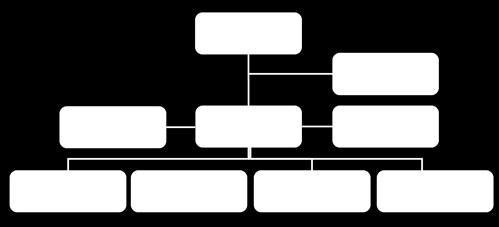 21. Organogramas ou mapas funcionais relativos à repartição de competências entre os vários órgãos sociais, comissões e/ou departamentos da sociedade, incluindo informação sobre delegações de