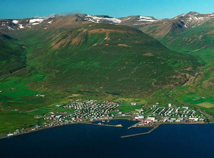 Dalvik Dalvik é o nome duma vila na Islândia MV baseada em registos (em vez de stack) Menos instruções geradas O código Java depois de compilado é recompilado para a MV Dalvik Um só