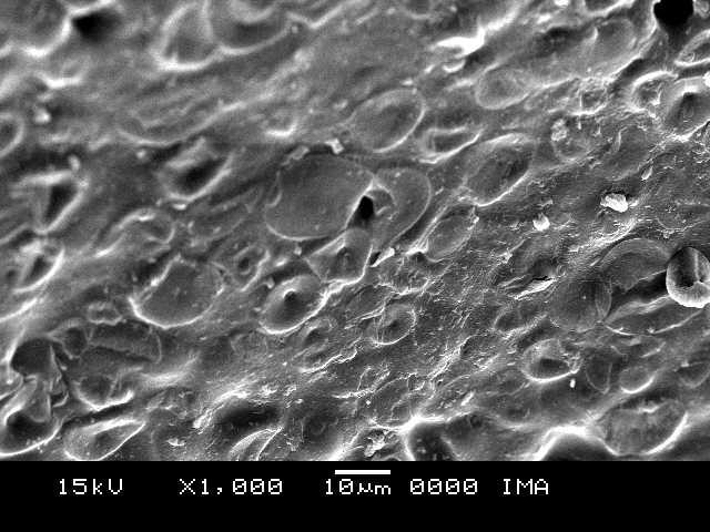 Como pode ser observado, as micrografias das superfícies fraturadas não mostram as fases entre o amido de mandioca