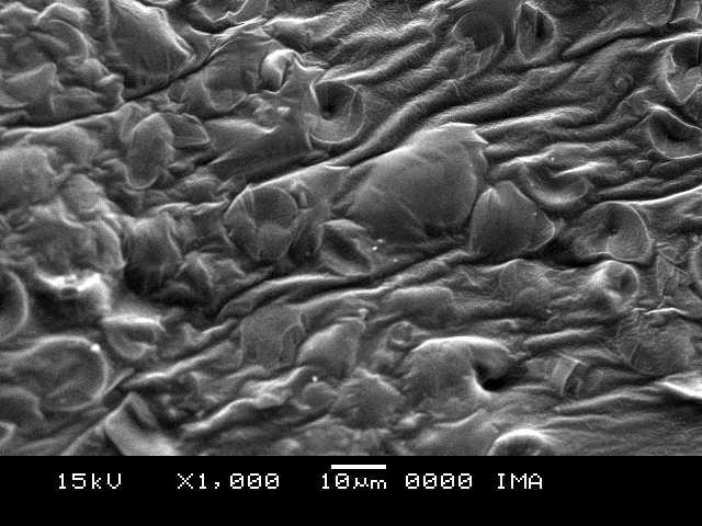 83 a b Figura 31: Micrografias obtidas por SEM para compósitos de amido/argila cálcica após processamento em câmara de mistura com ampliação de 1000