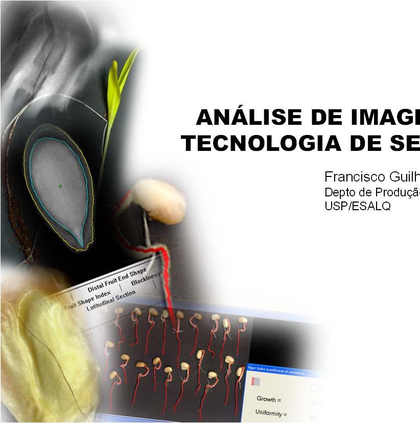 Fitotecnia Primeiro Semestre de 2013 A análise de imagens em Tecnologia de Sementes Princípios: Métodos não destrutivos.