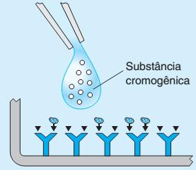 PROCEDIMENTO (KITS PARA IMUNOENSAIOS EM CAMPO) Na etapa 4 uma substância cromogênica e adicionada ao poço.