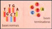 Sequenciamento de DNA Utiliza alguns análogos