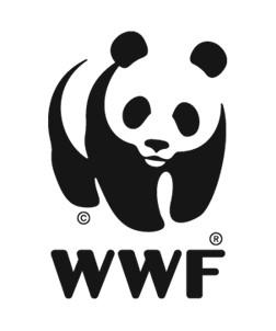 Voluntariado, o Desenvolvimento sustentável o Proteção e manejo de ecossistemas. o WWF - BRASIL o Organização não-governamental (ONG).