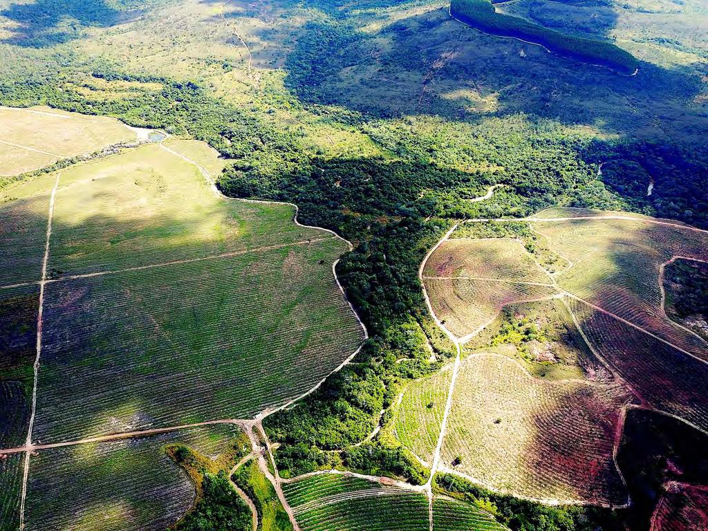 SOLEÁ AGRO - 55% DA PROPRIEDADE