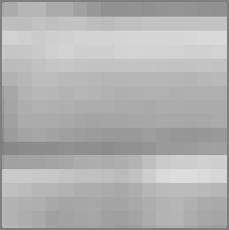 dos pixels possui valores semelhantes, como pode ser observado na