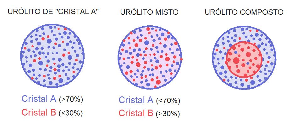 A condição se inicia com a formação de cristais na urina que, em condições específicas, podem progredir para formação de urólitos (pedras) no interior do trato urinário.