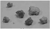 Canadian veterinary urolith center Adaptado: Biourge, 2010 Ocorrência Houston et al., 2004 Estudo retrospectivo de 1998 a 2003 16.