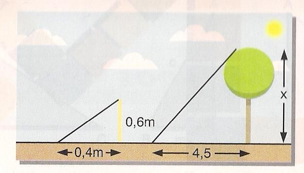 A altura da árvore é: 45) A sombra de um poste vertical, projetada pelo sol sobre