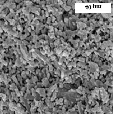 FIGURA 4.18 - Micrografias obtidas por MEV das cerâmicas porosas pré-sinterizadas, utilizando a mistura comercial de alumina-zircônia (grupo1).