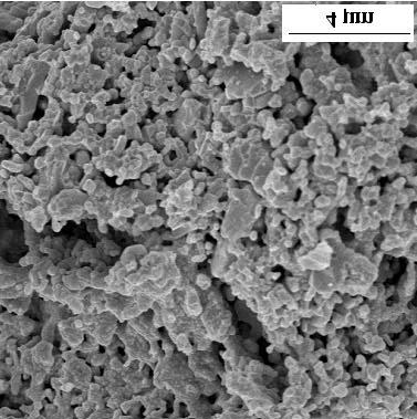 FIGURA 4.19 - Micrografias obtidas por MEV da cerâmica porosa pré-sinterizada produzida a partir da mistura de alumina e zircônia Ce-TZP preparadas no LAS/INPE (grupo 2).