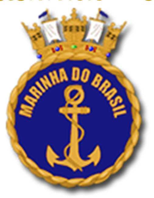 BRAZILIAN NATIONAL REPORT Brazilian Navy