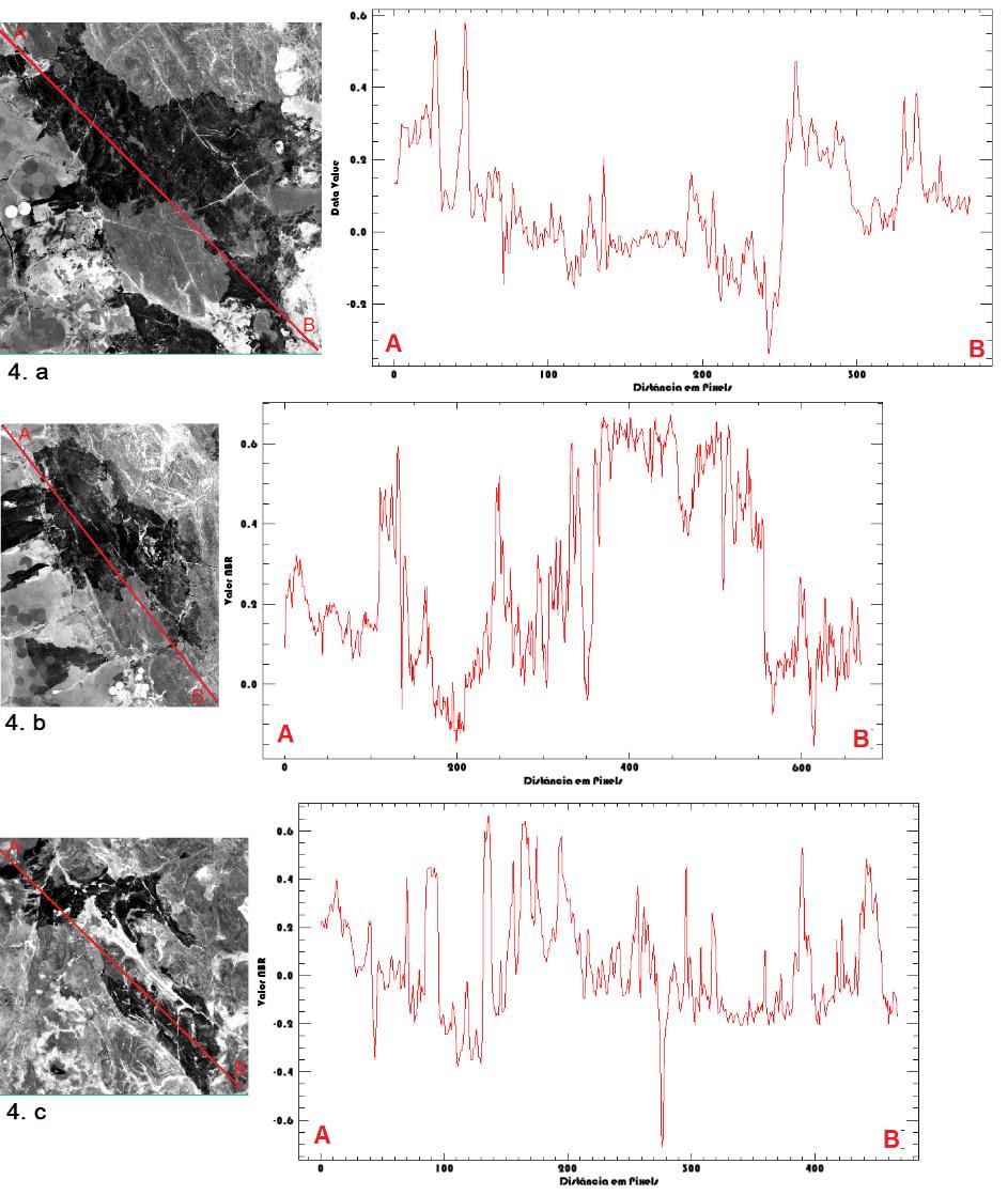 corresponde a aproximadamente 6 % da área pesquisada. O índice NBR varia entre -1.0 e 1.0, dessa forma, a variação observada no histograma é de -0.45 a 0.