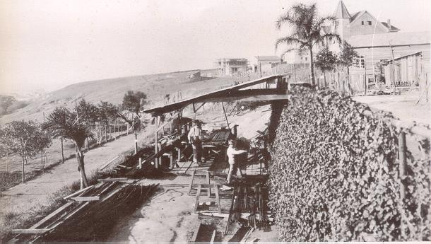 Valores Respeito ao Meio Ambiente 1914 início do bosque A partir de