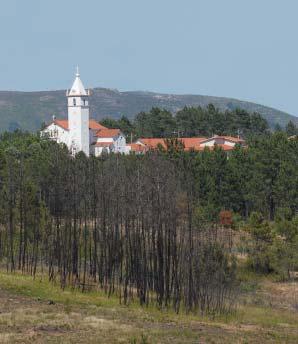 Com um cenário amplo, aromatizado pelos jovens eucaliptos que insistem em ser mais fortes do que os incêndios, e com dezenas de aerogeradores ao longe, avançamos escassos metros para chegar à